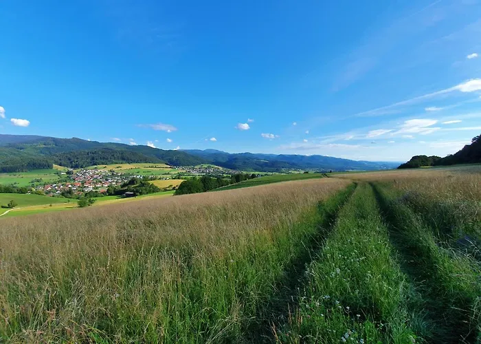 Apartment Schneeburg