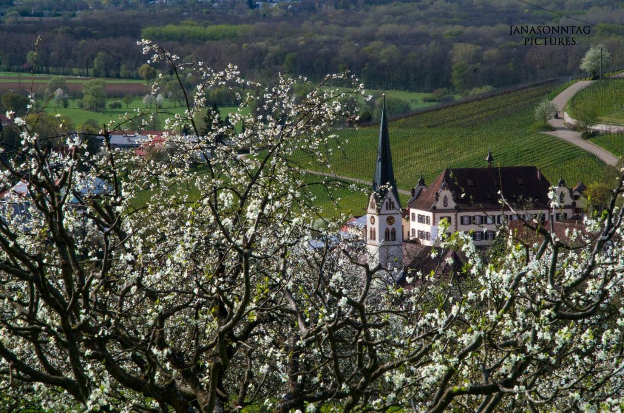 Apartment Schneeburg Ebringen
