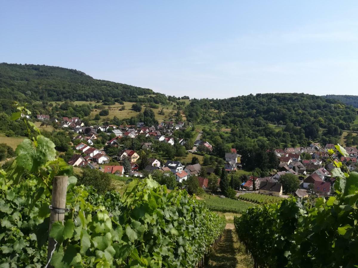 Schneeburg * Ebringen