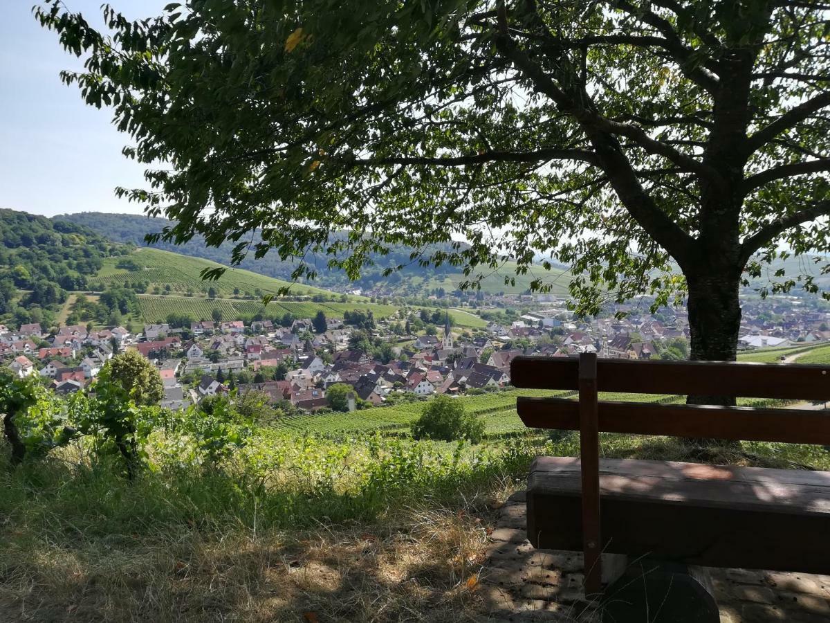 Apartment Schneeburg