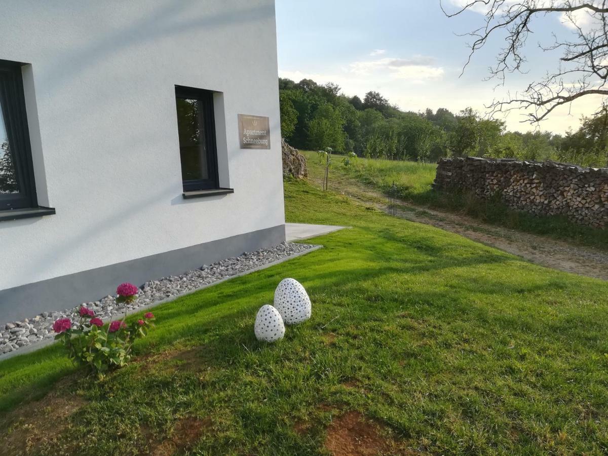 Apartment Schneeburg *