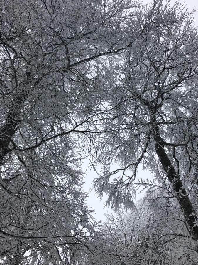 Schneeburg